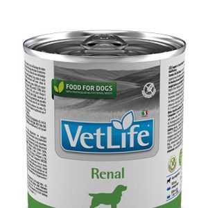 VET LIFE RENAL 300 GR