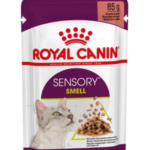 ROYAL SENSORY SMELL GRAVY BST 85 GR