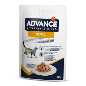 ADVANCE CAT RENAL 100 GR