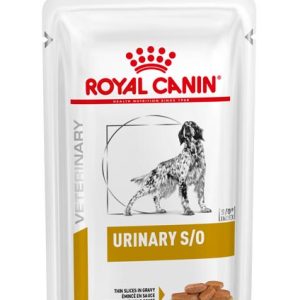 ROYAL DOG URINARY BST 100 GR