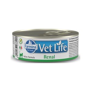 VETLIFE CAT RENAL 85 GR